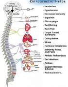 美式整脊和脊椎保养
