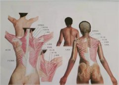 ART美式脊椎矫正：美式脊椎矫正主要特色和治