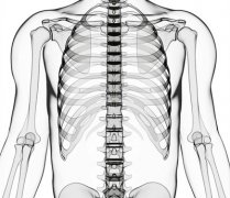 中医推拿按摩:平常保养脊椎需要注意的小知识