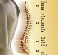 哪些小动作会伤害你的脊椎_刘冠辰ART整体康复