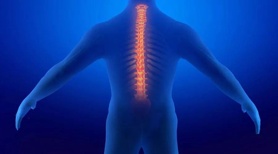 脊椎矫正|颧骨整形培训机构