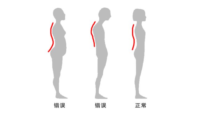 脊椎塑形师_脊椎矫正机构