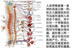美式整脊如何进行诊断治疗的_刘冠辰美式